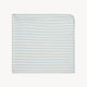 Blue Stripe